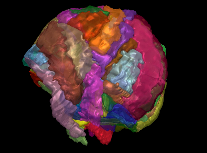 屏幕截图 2026-03-09 145858.png